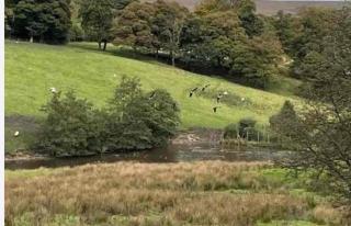 4 Bed Retreat-Sleeps 7-Parking-Garden-Lake Views - 5