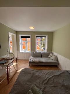 Cozy apartment with backyard and close to public transport - 0