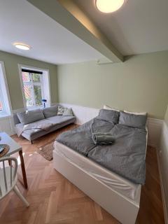 Cozy apartment with backyard and close to public transport - 6