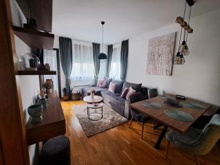 Apartman Ricoletta - Zlatibor - 8