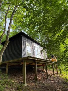Idylisk primitiv hytte midt i skoven - Them - 1
