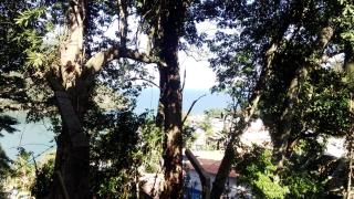Casa Sitio Junqueira - 9