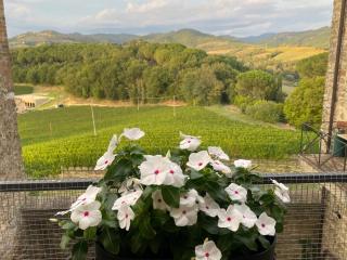 Appartamento Balcone sulla vigna Borgo Solfagnano - 5