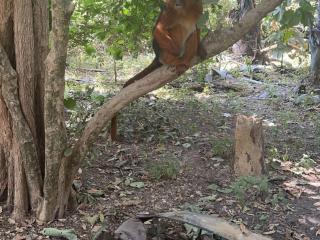 Sukuta nema guest house - 9
