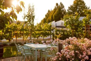 Apartments Vineyard19 - 1