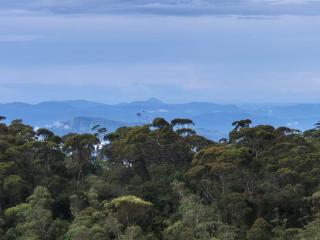 The Mountain Links, Upcot, Nuwara Eliya - 1