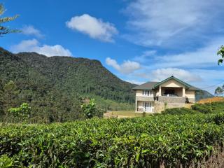 The Mountain Links, Upcot, Nuwara Eliya - 9