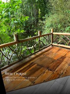 Subtropica Forest Suites - 4