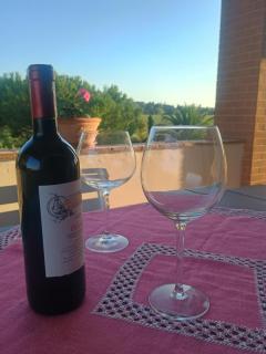 Villa Novi Tuscany - 6