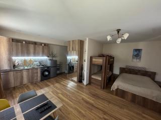 AVIATOR Apartments in Bakuriani - 5