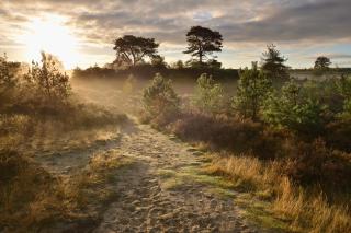 Chalet het zonnehuisje 3 slaapkamers - 6