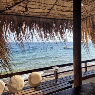 Sea Lily Villa & Playground - 9