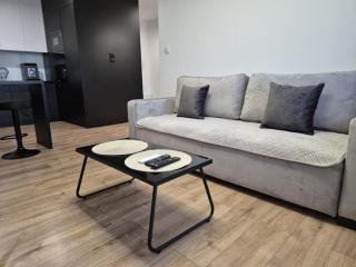 Apartament przy WROCZYŃSKIEGO 5 z miejscem garażowym - Biała Podlaska - 9