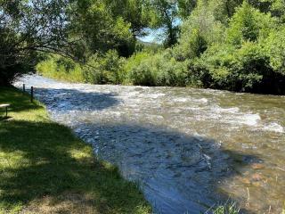 Cozy Rustic Cabin with Riverside Patio on the Pecos River – Pecos, New Mexico - Pecos - 4