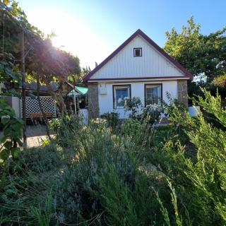 House with flowers - 9