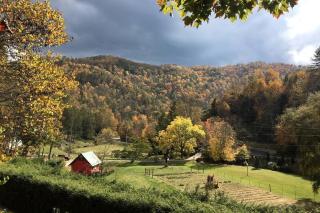 Romantic Farm-Stay Cabin with Petting Zoo & Hot Tub near Boone, NC - 0