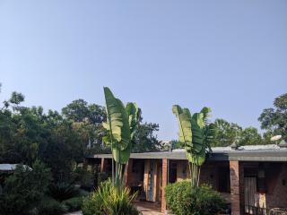 Inside Afrika Boutique Hotel - 0