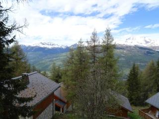 Chalet De Vallandry - Chalet de charme 6 personnes à Vallandry situé à proximité des pistes et des commerces MAE-1021 - 7