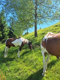 Country Life Chalet - 2