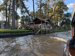 Sweet Home 3 - Tigre - 8