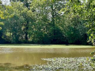 Logis de la Grossetière 13 personnes 15 min de l'océan - 2