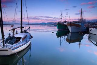 Lime Quay Cottage - 6