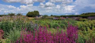 Plough Cottage - 8