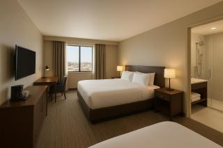 Hotel Urban Lion - IGI Airport Delhi - 6