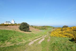 Treetops - Cromer - 1