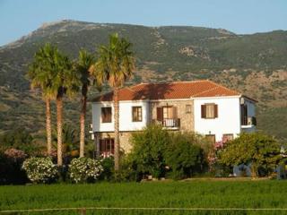 Islands Apartments - 9