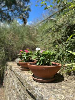 Poggi di Belvedere - 6