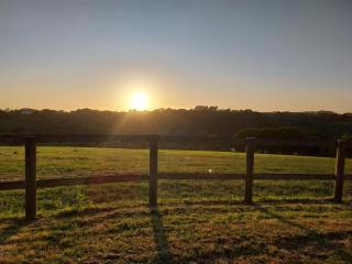 Harmony Hut Hot Tub 2 miles from beach,in rural setting Bude Cornwall - Stratton - 5