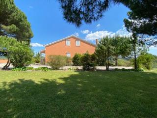 Quinta do Alto dos Pinheiros - São João da Ribeira - 6