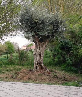 Espace et liberté - 3