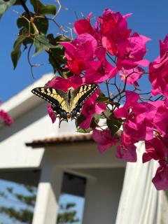 La Casa di Bilici - 9