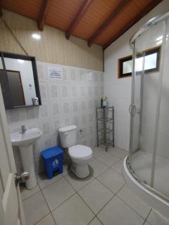 Cabañas Mañio Melipeuco - Melipeuco - 1