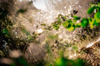 WieloHome - 8