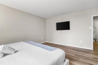 Stylish Crystal City Flat - Gym & Pool - Arlington - 2