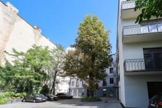 Duo Tones, art & nature, free parking - 8