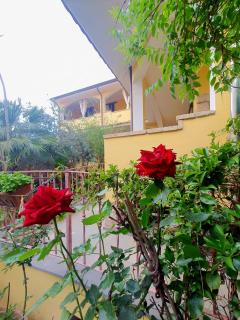 Palmas Anna's rooms Is Procilis - 7