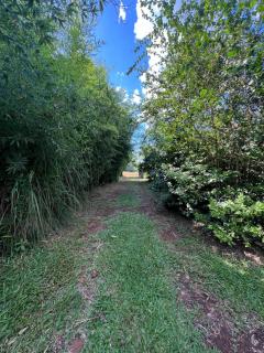 Casa de campo El Lapacho - 5