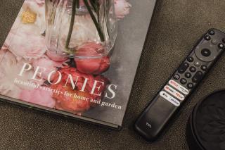 Chic Townhome near LA Tech - 1