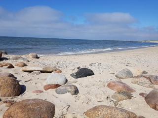 8 person holiday home in Blåvand-By Traum - 3