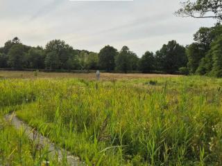 4 person holiday home in Hovborg-By Traum - 4