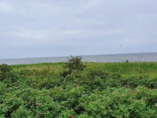 6 person holiday home in Hemmet - 1