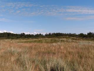 6 person holiday home in Hemmet - 6