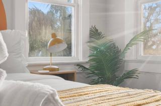 1BD Walk to Central Ave Beaches Dining Shops - 4