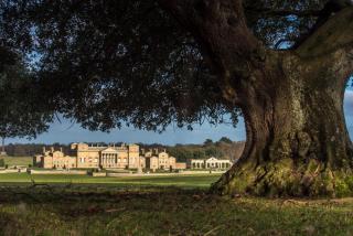 Palmers Folly - 9