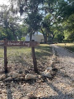 OT 3515H Texas Yurt Haus Horned Frog - 2