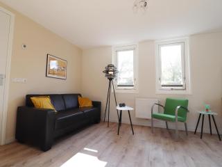 Chalet in Friesland with terrace - Sint Nicolaasga - 9